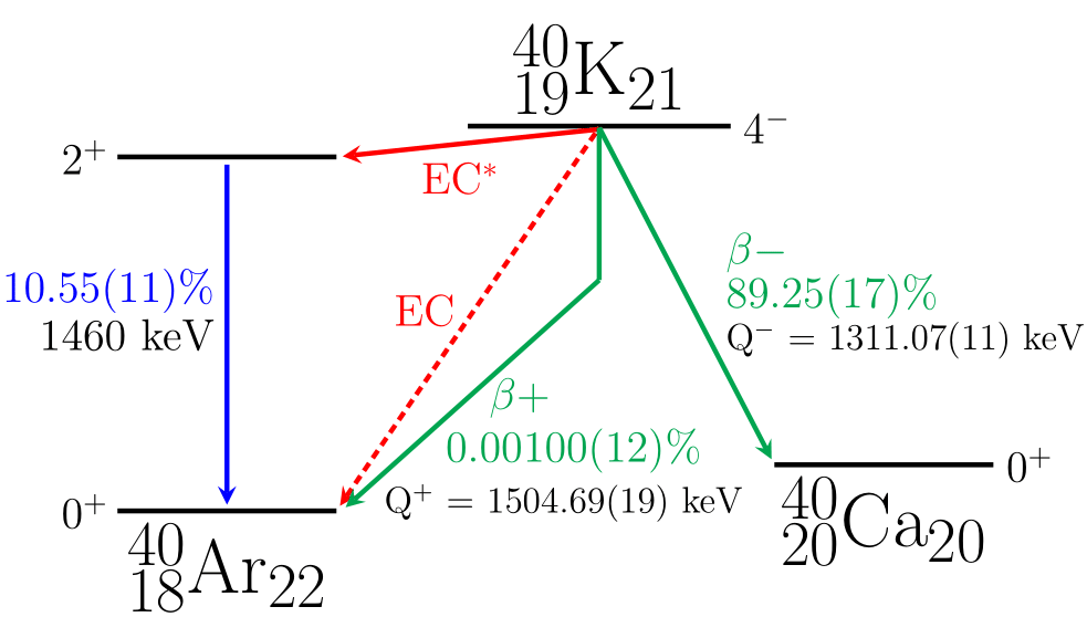 The decay scheme of potassium-40, using an energy level diagram with coloured arrows indicating decay mechanisms. Potassium-40 is on the centre top of the image, indicating 19 protons, 21 neutrons, spin 4, and a negative parity. On the right bottom of the image is the energy level for Calcium-40, with 20 protons, 20 neutrons, spin 0, and positive parity. A green arrow connects the energy levels of Potassium-40 to Calcium-40, with a notation in green stating beta minus decay occurring 89.25(17)% of the time and a Q minus value of 1311.07(11)keV. On the top left of the image, slightly under the Potassium-40 energy level, is the energy level for excited Argon-40 with a spin 2 and positive parity, and a red arrow connecting Potassium-40 to the excited state of 40-Argon with a notation in red stating 'EC*'. In the bottom left of the image is the ground state energy level of Argon-40, with 18 protons and 22 neutrons with spin 0 and positive parity. A vertical blue arrow connects the energy levels of excited and ground state Argon-40 with a blue notation stating that it occurs 10.55(11)% of the time and emits 1460keV. A green arrow connects Potassium-40 to ground state Argon-40 with a notation in green stating beta plus decay happening 0.00100(12)% of the time with a Q plus value of 1504.69(19)keV. A dotted red arrow also connects Potassium-40 to ground state Argon-40 with a notation in red stating 'EC'.