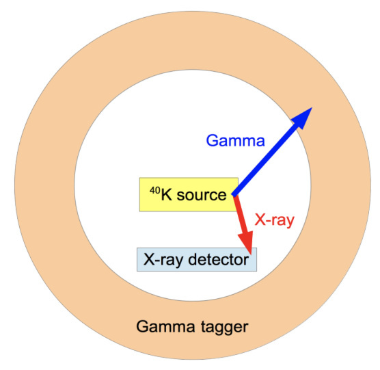 A beige donut labelled “Gamma tagger” with the KDK detectors and estimated reactions inside. A yellow box labelled “40K source” is in the centre with a blue arrow and a red arrow pointing away. A blue box labelled “X-ray detector” is below the yellow box inside the Gamma tagger. The blue arrow extends from the 40K source to the Gamma tagger and is labelled “Gamma”. The red arrow extends from the 40K source to the X0ray detector and is labelled “X-ray”.