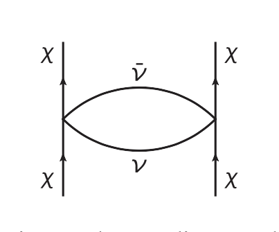 A Feynman diagram with two parallel, vertical lines representing the DM candidate and a pointed oval between them representing the exchange of neutrinos. The vertical lines have arrowheads pointing up, one before and one after the intersection with the pointed oval. The Greek letter Chi, representing the DM candidate, is written next to each vertical line, before and after the intersection with the pointed oval. A barred greek letter mu is above the top of the oval, and an unbarred greek letter mu is below the oval.