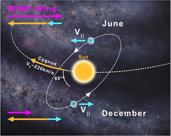 The sun is in the centre of the image with a dotted, curved line showing its movement with the Earth’s orbit shown in a dotted line around it. Coloured arrows show the direction and magnitude of the velocity of the WIMP wind in pink, the sun in orange, and the Earth in blue. At the top of the image is the word “June”, where the velocity arrow for the sun and earth are both pointing in the opposite direction of the WIMP wind and the WIMP wind pink arrow is the sum of the Sun and Earth velocities and is long. At the bottom of the image is the word “December”, where the Earth’s velocity is in the opposite direction as the sun’s velocity and the WIMP wind velocity arrow is small.