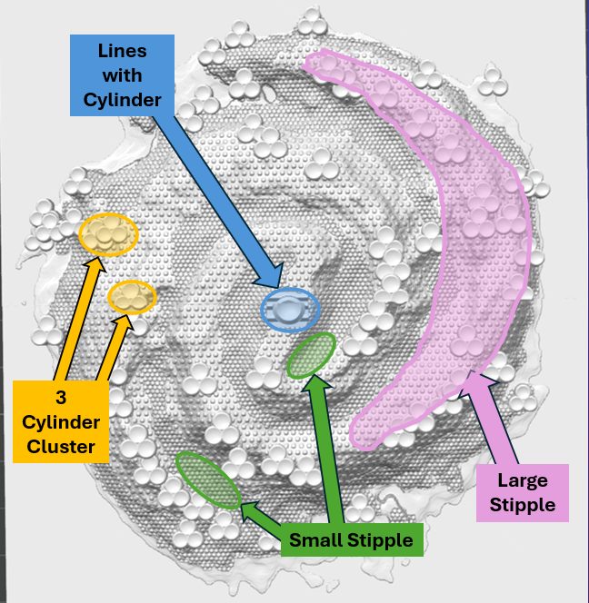 Annotated galaxy model labeling the textures for the bulge, spiral arms, gas and dust, and star-forming regions.