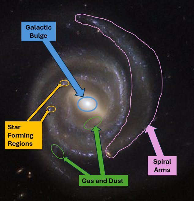 Annotated galaxy image labeling the bulge, spiral arms, gas and dust, and star-forming regions.